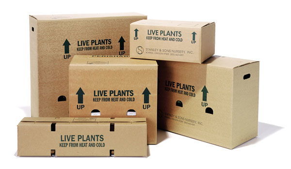 Banner image for: <h1><a href="https://goplantamayorista.com/pages/nuestros-envios" title="https://goplantamayorista.com/pages/nuestros-envios">Nuestros Envíos</a></h1>